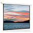 Экран моторизированный Classic Lyra M 248x249 см